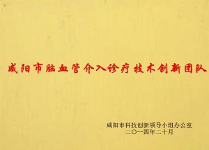 咸陽市腦血管介入診療技術(shù)創(chuàng)新團(tuán)隊(duì)