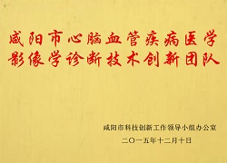 咸陽(yáng)市心腦血管疾病醫(yī)學(xué)影像學(xué)診斷技術(shù)創(chuàng)新團(tuán)隊(duì)