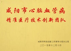 咸陽(yáng)市心腦血管病精準(zhǔn)醫(yī)療技術(shù)創(chuàng)新團(tuán)隊(duì)