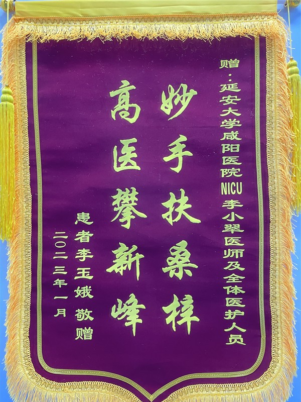 神經(jīng)重癥監(jiān)護(hù)NICU錦旗