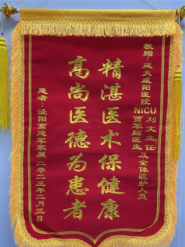 神經(jīng)重癥監(jiān)護(hù)NICU錦旗